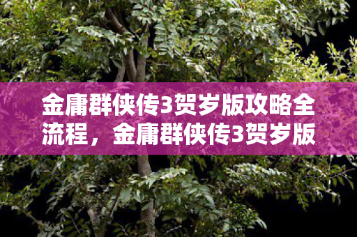 金庸群侠传3贺岁版攻略全流程,金庸群侠传3贺岁版,重温经典,共贺新春 金庸群侠传3贺岁版攻略全流程,金庸群侠传3贺岁版,重温经典,共贺新春