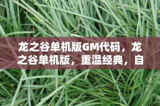 龙之谷单机版GM代码图片