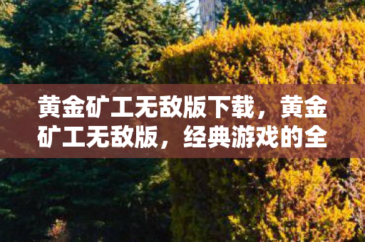 黄金矿工无敌版下载,黄金矿工无敌版,经典游戏的全新挑战 黄金矿工无敌版下载,黄金矿工无敌版,经典游戏的全新挑战