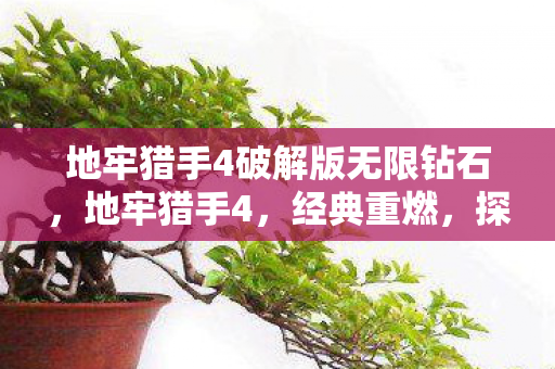 地牢猎手4破解版无限钻石,地牢猎手4,经典重燃,探索未知的深渊 地牢猎手4破解版无限钻石,地牢猎手4,经典重燃,探索未知的深渊