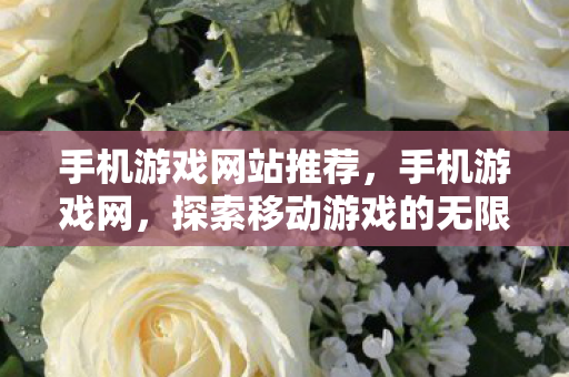 手机游戏网站推荐，手机游戏网，探索移动游戏的无限可能