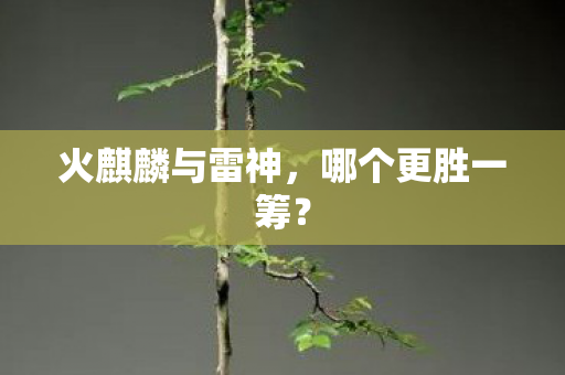 火麒麟与雷神,哪个更胜一筹? 火麒麟与雷神,哪个更胜一筹?