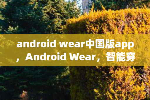 android wear中国版app,Android Wear,智能穿戴设备的新篇章 android wear中国版app,Android Wear,智能穿戴设备的新篇章