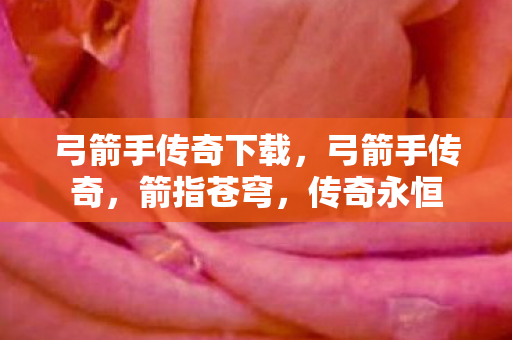 弓箭手传奇下载图片
