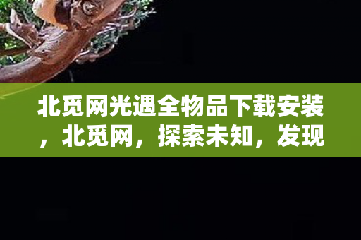北觅网光遇全物品下载安装,北觅网,探索未知,发现新奇 北觅网光遇全物品下载安装,北觅网,探索未知,发现新奇