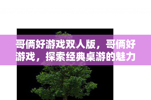 哥俩好游戏双人版,哥俩好游戏,探索经典桌游的魅力 哥俩好游戏双人版,哥俩好游戏,探索经典桌游的魅力