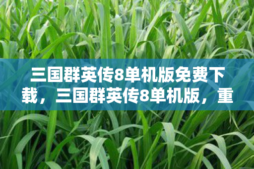 三国群英传8单机版免费下载图片
