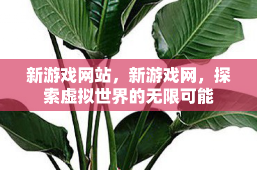 探索虚拟世界的无限可能图片