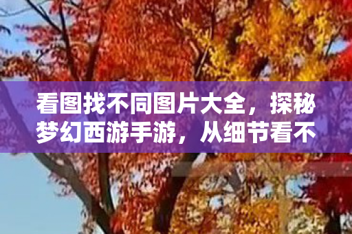 看图找不同图片大全图片