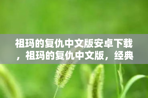 祖玛的复仇中文版安卓下载图片
