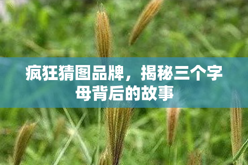 疯狂猜图品牌,揭秘三个字母背后的故事 疯狂猜图品牌,揭秘三个字母背后的故事