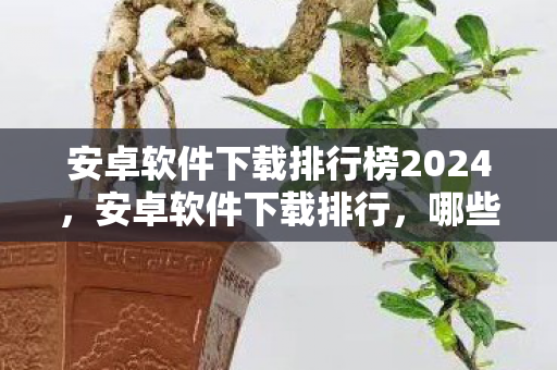 安卓软件下载排行榜2024，安卓软件下载排行，哪些应用最受用户欢迎？