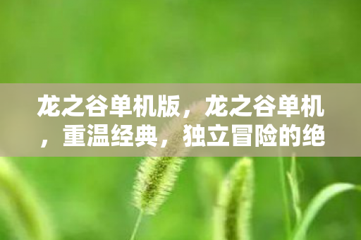 龙之谷单机版,龙之谷单机,重温经典,独立冒险的绝佳选择 龙之谷单机版,龙之谷单机,重温经典,独立冒险的绝佳选择