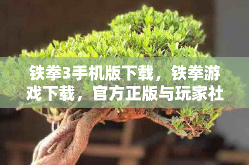 铁拳3手机版下载,铁拳游戏下载,官方正版与玩家社区的互动体验 铁拳3手机版下载,铁拳游戏下载,官方正版与玩家社区的互动体验