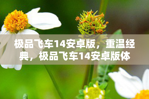 极品飞车14安卓版,重温经典,极品飞车14安卓版体验 极品飞车14安卓版,重温经典,极品飞车14安卓版体验