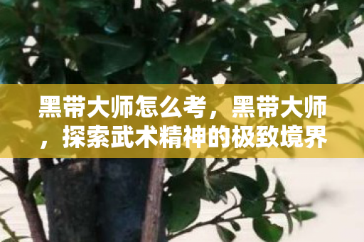 黑带大师怎么考,黑带大师,探索武术精神的极致境界 黑带大师怎么考,黑带大师,探索武术精神的极致境界