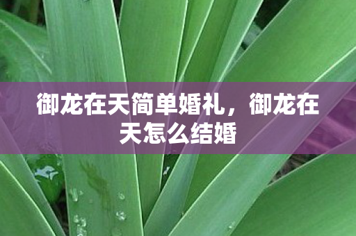 御龙在天简单婚礼,御龙在天怎么结婚 御龙在天简单婚礼,御龙在天怎么结婚