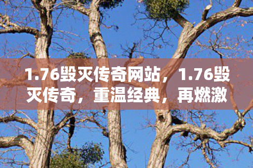 1.76毁灭传奇网站，1.76毁灭传奇，重温经典，再燃激情
