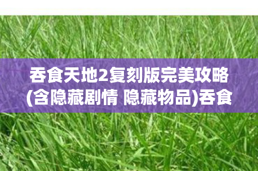 吞食天地2复刻版完美攻略图片