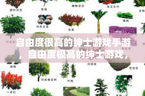 自由度很高的绅士游戏手游,自由度极高的绅士游戏,探索未知与释放真我的虚拟之旅 自由度很高的绅士游戏手游,自由度极高的绅士游戏,探索未知与释放真我的虚拟之旅