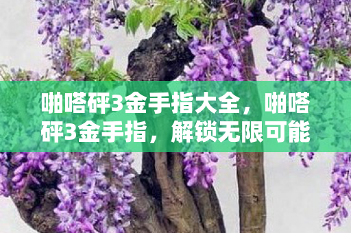 啪嗒砰3金手指大全,啪嗒砰3金手指,解锁无限可能的策略游戏利器 啪嗒砰3金手指大全,啪嗒砰3金手指,解锁无限可能的策略游戏利器