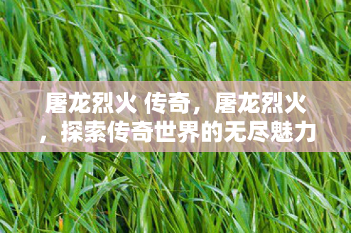屠龙烈火 传奇,屠龙烈火,探索传奇世界的无尽魅力 屠龙烈火 传奇,屠龙烈火,探索传奇世界的无尽魅力