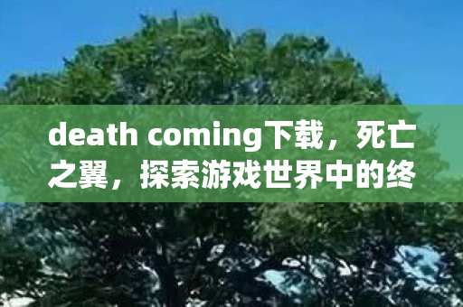 death coming下载,死亡之翼,探索游戏世界中的终极挑战 death coming下载,死亡之翼,探索游戏世界中的终极挑战