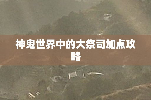 神鬼世界中的大祭司加点攻略 神鬼世界中的大祭司加点攻略