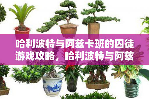 哈利波特与阿兹卡班的囚徒游戏攻略,哈利波特与阿兹卡班的囚徒游戏,探索魔法世界的奇妙冒险 哈利波特与阿兹卡班的囚徒游戏攻略,哈利波特与阿兹卡班的囚徒游戏,探索魔法世界的奇妙冒险