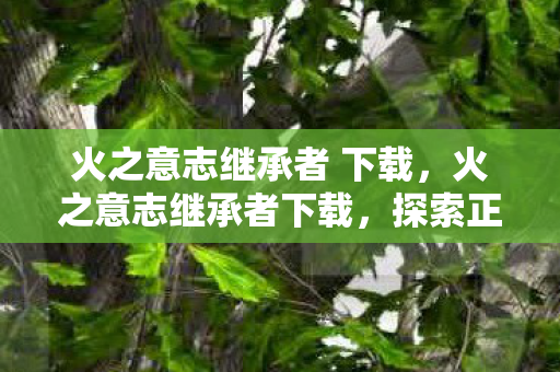 火之意志继承者 下载,火之意志继承者下载,探索正版游戏的魅力 火之意志继承者 下载,火之意志继承者下载,探索正版游戏的魅力