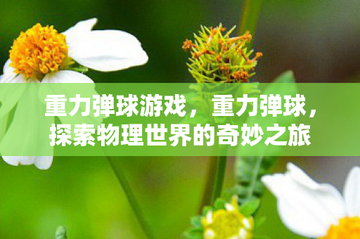 重力弹球游戏,重力弹球,探索物理世界的奇妙之旅 重力弹球游戏,重力弹球,探索物理世界的奇妙之旅