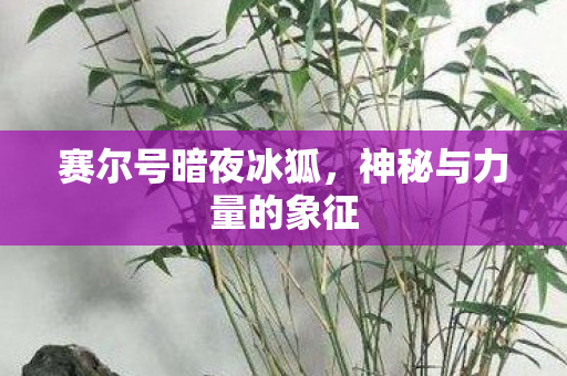 赛尔号暗夜冰狐，神秘与力量的象征