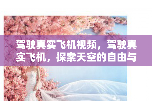 驾驶真实飞机视频,驾驶真实飞机,探索天空的自由与责任 驾驶真实飞机视频,驾驶真实飞机,探索天空的自由与责任