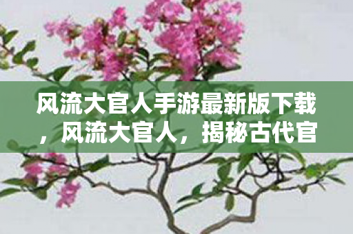 风流大官人手游最新版下载，风流大官人，揭秘古代官员的奢华生活与风流韵事