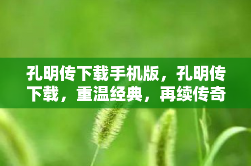 孔明传下载手机版,孔明传下载,重温经典,再续传奇 孔明传下载手机版,孔明传下载,重温经典,再续传奇