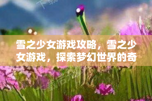 雪之少女游戏攻略，雪之少女游戏，探索梦幻世界的奇妙之旅