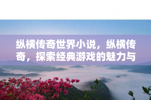 纵横传奇世界小说,纵横传奇,探索经典游戏的魅力与传承 纵横传奇世界小说,纵横传奇,探索经典游戏的魅力与传承
