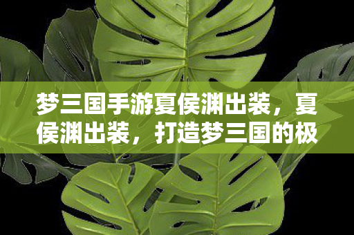 梦三国手游夏侯渊出装,夏侯渊出装,打造梦三国的极致输出 梦三国手游夏侯渊出装,夏侯渊出装,打造梦三国的极致输出