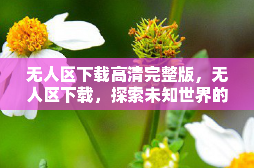 无人区下载高清完整版，无人区下载，探索未知世界的奇妙之旅