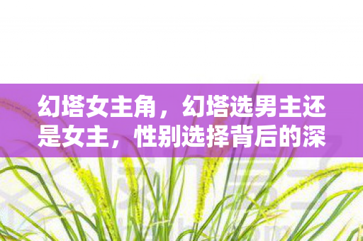 幻塔女主角,幻塔选男主还是女主,性别选择背后的深层意义 幻塔女主角,幻塔选男主还是女主,性别选择背后的深层意义