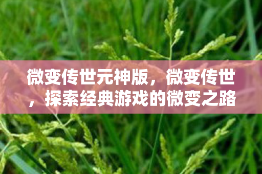 微变传世元神版,微变传世,探索经典游戏的微变之路 微变传世元神版,微变传世,探索经典游戏的微变之路