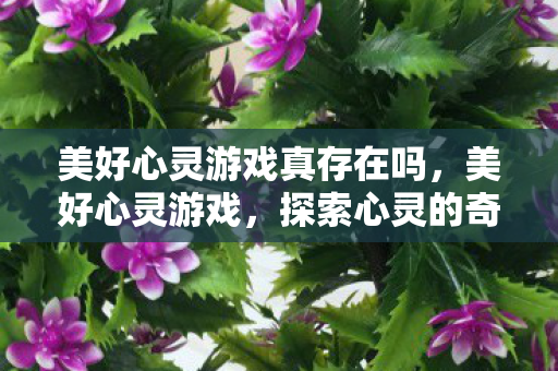 美好心灵游戏真存在吗,美好心灵游戏,探索心灵的奇妙之旅 美好心灵游戏真存在吗,美好心灵游戏,探索心灵的奇妙之旅
