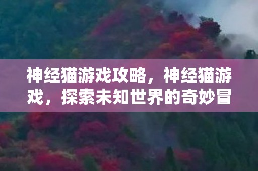 探索未知世界的奇妙冒险图片