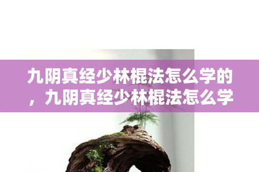 九阴真经少林棍法怎么学的，九阴真经少林棍法怎么学