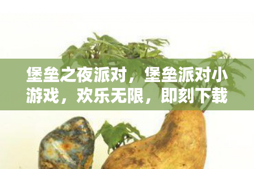 堡垒之夜派对，堡垒派对小游戏，欢乐无限，即刻下载！