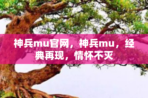 神兵mu官网，神兵mu，经典再现，情怀不灭