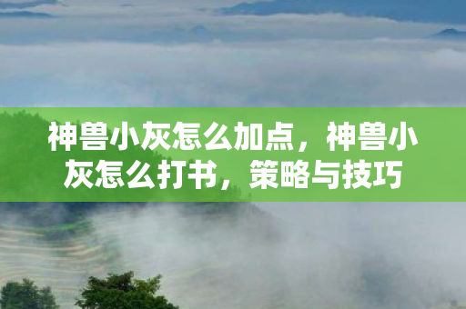 神兽小灰怎么加点，神兽小灰怎么打书，策略与技巧