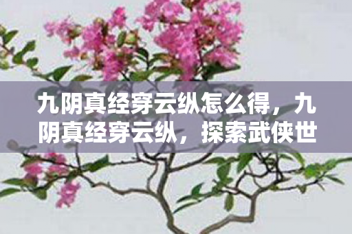 九阴真经穿云纵怎么得,九阴真经穿云纵,探索武侠世界的轻功奥秘 九阴真经穿云纵怎么得,九阴真经穿云纵,探索武侠世界的轻功奥秘