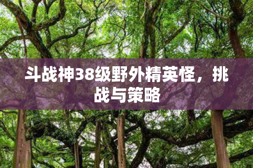 斗战神38级野外精英怪，挑战与策略