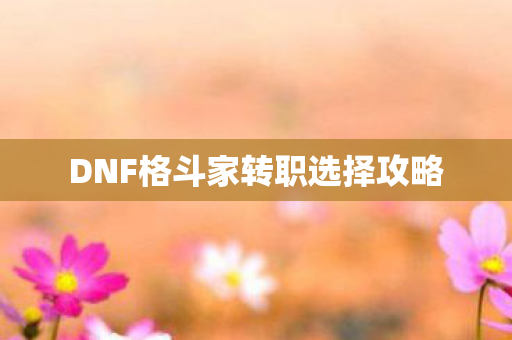 DNF格斗家转职选择攻略 DNF格斗家转职选择攻略